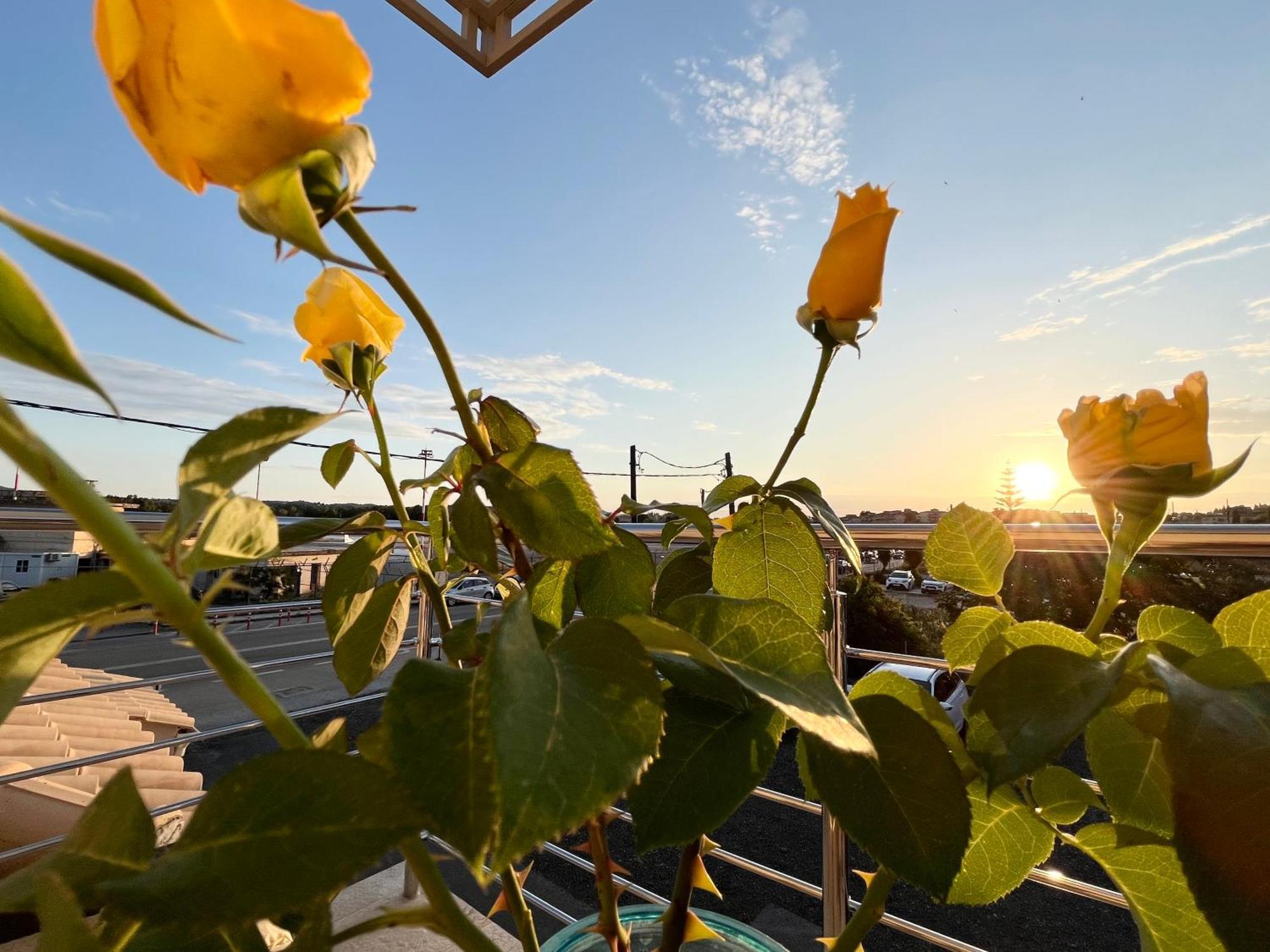 Corfu Airport Sweet Studio Corfu (city) Exterior foto